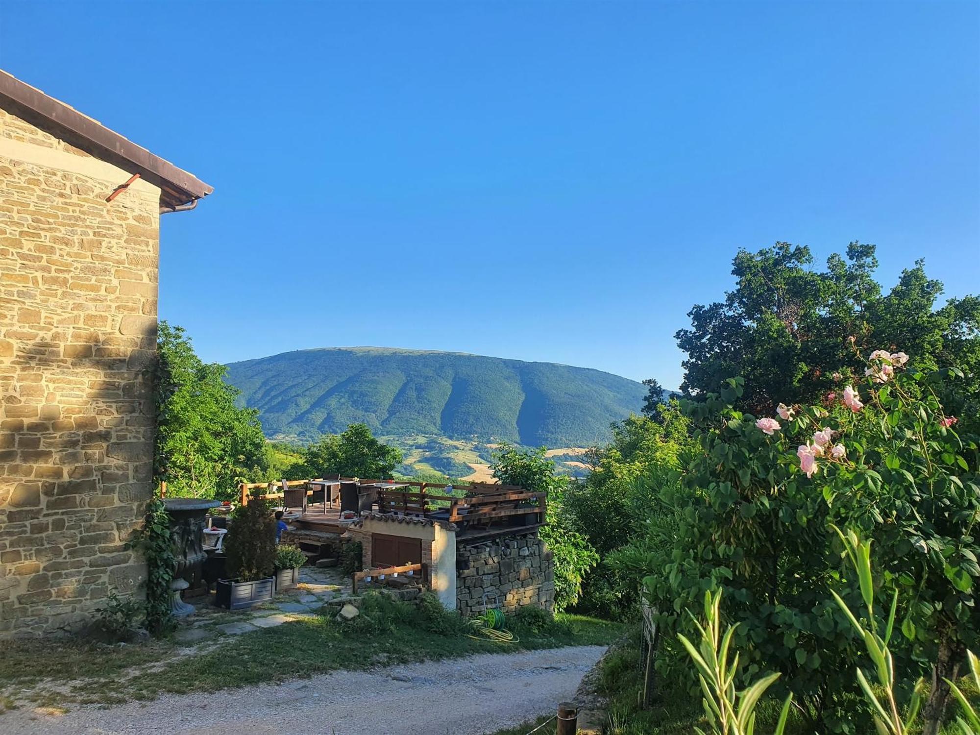 Le Ginestre Apartments Assisi Exteriör bild