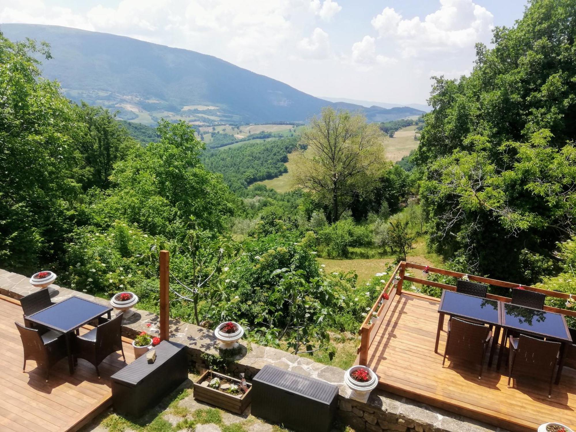 Le Ginestre Apartments Assisi Rum bild
